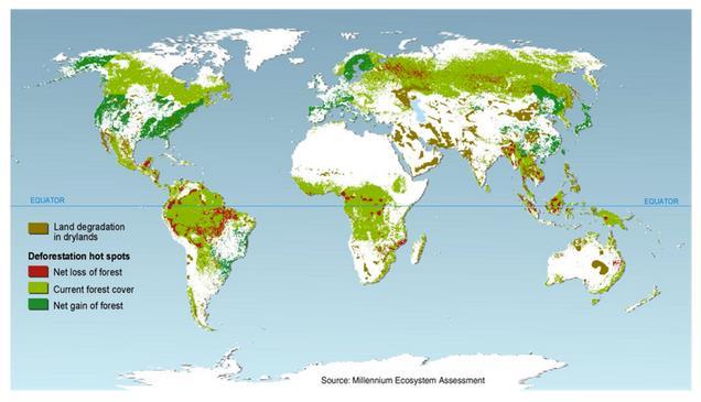 Stav lesního pokryvu Znehodnocování půdy v suchých oblastech Odlesňování