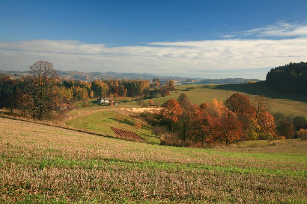 Doporučujeme konzultovat záměr předem, konzultovat