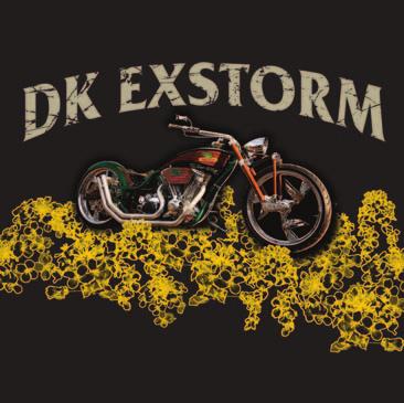 DK Exstorm síla, výkon, jistota REGISTROVÁN 2013 Výnosově mimořádně stabilní hybrid! Výnos semene 111 % (ÚKZÚZ 2009 2012) dokazuje jeho potenciál a výnosovou stabilitu.
