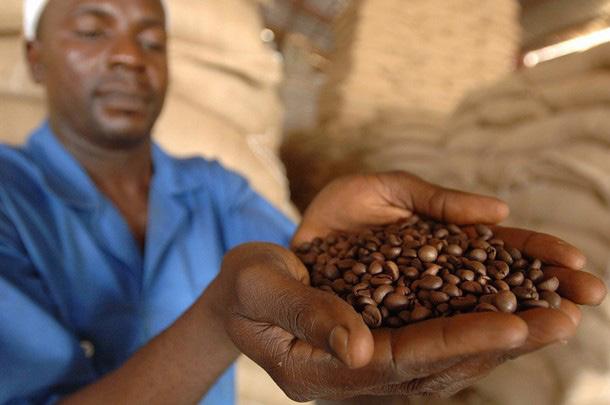 Za poznáním 1/2019 AFRICKÝ SEDÁNEK Pozvání hosta na kávu se zde považuje za slušnost a pro ně samozřejmost podávaná k jídlu.