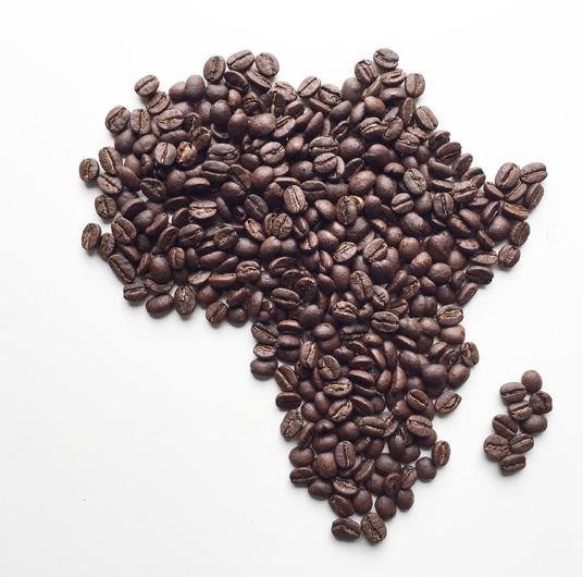 V Africe není nic neobvyklého, když jste pozváni na kávu, naopak vám prokázána velká čest. Dokonce i příprava je sama o sobě něco velkého. Hostitel vám kávu připravuje přímo před vámi.