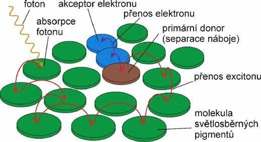 Obr. 1 Schematické znázornění přenosu energie ve světlosběrné anténě a její následná přeměna na energii separovaného náboje.