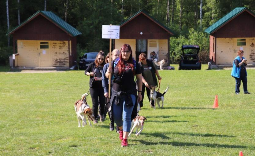 Štěňata strakatá 2019 Letos se konala Štěňata už popáté. 66 psů (z toho 51 štěňat) a téměř 200 lidí (vzhledem k nespícím sobotním návštěvníkům jsme to nedokázali spočítat úplně přesně).