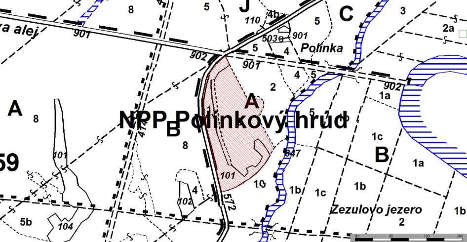 NPP Polínkový hrúd 2,88 ha Vegetace sušších stanovišť hrúdů (suchých trávníků) a stanoviště habrových doubrav.
