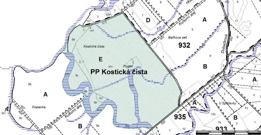 PP Kostická čista 55,97 ha Rozsáhle zaplavované nivní louky s vodním tokem lemovaným keři a stromy. Navrhovaná PP zahrnuje i okrajové vodou ovlivněné porosty s včetně vodních kanálů.