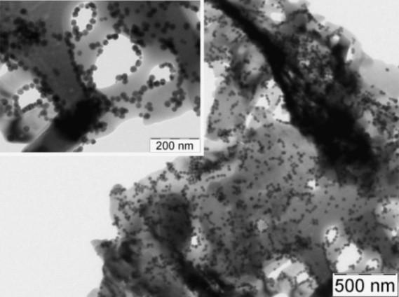 Obrázek 1: TEM snímek nanokompozitu Ag/PDDA-CBL3 3.1.2.1.1.1 Stanovení MIC Ag/PDDA-CBL3 Diluční mikrometodou byla určena MIC nanokompozitů.