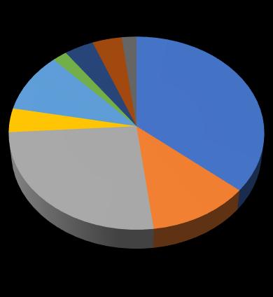 Nejvíce zasažený kvadrant prsu, ve kterém byl pacientkám lokalizovaný nádor, byl ve 36 % horní zevní kvadrant.