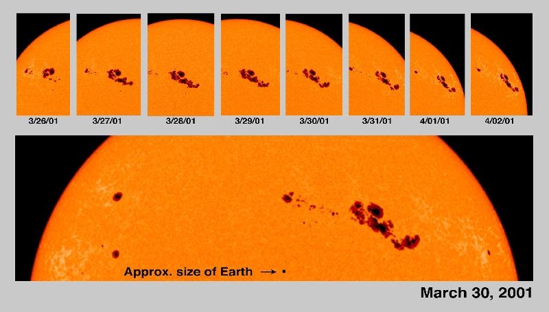 Obr. 11 Pohyb slunečních skvrn po povrchu Slunce Každý den vznikají a zanikají skvrny, které je možno vidět pouze na magnetogramu nebo jen na snímcích v určitém světle. Mají pouze krátkou životnost.