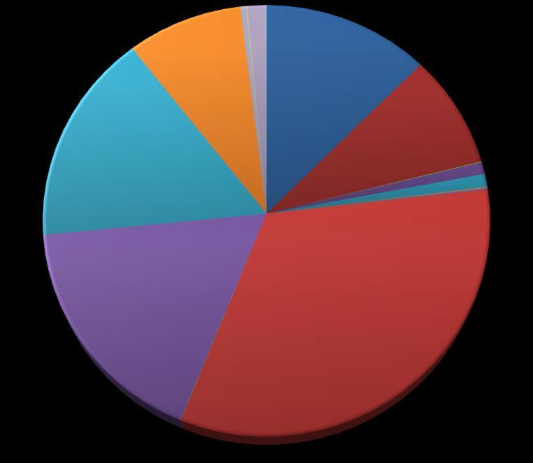 0,30% 0,11% 0,07% 1,35% 0,09% 1 SI 2 SI(AG) 8,67% 12,47% 2 Sith 0,05% 0,90% 2 SI(HG) 3 Sih 8,60% 0,98% 5 PT 15,99%