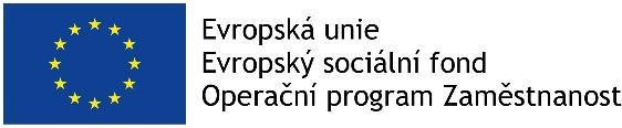 Akreditované vzdělávání a odborné platformy pro sdílení zkušeností a dobrých praxí pro úředníky měst v přímé práci, registrační číslo projektu: CZ.03.2.63/0.0/0.