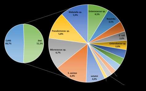 Zastoupení jednotlivých druhů Nejčastějšími mikroorganismy vykultivovanými z cévních konců CŽK byly v naší studii i v evropské studii grampozitivní bakterie (evropská studie 70,7 %, naše studie 73,9