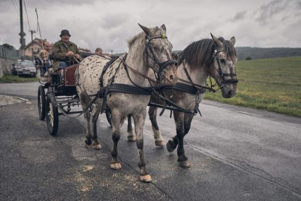 kopaly poklady s trpaslíky. Oblíbenou atrakcí byla jízda na koňském povozu a jízda na koni.