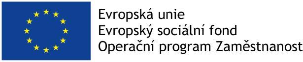 průběhu realizace projektu.