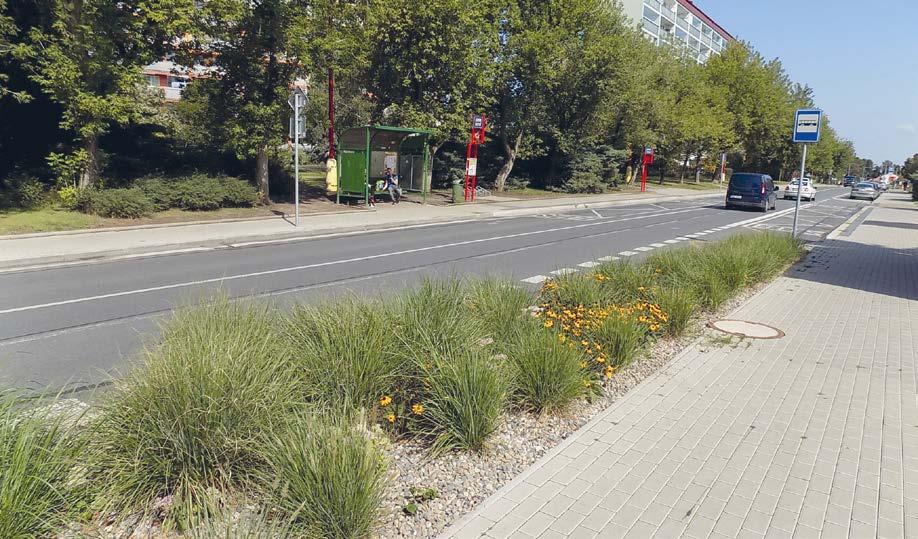 STRANA 7 ORGANIZACE A SPOLKY VE MĚSTĚ DEN ZDRAVÍ NEMOCNICE NERATOVICE 11. září 2019 od 9.00 do 14.