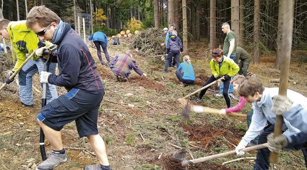 ZPRAVODAJSTVÍ Skautské středisko Povodeň Den za obnovu lesa Jak jste mohli z médií zaznamenat, naše lesy postihla jedna z největších kalamit za poslední dobu. Proto v sobotu 19.