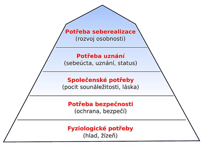 Dle Langmeiera a Krejčířové (2006) urychlují proces stárnutí nemoci prodělané v dětství a pozdějším věku, stejně tak nesprávná ţivotospráva a ţivotní zátěţ.