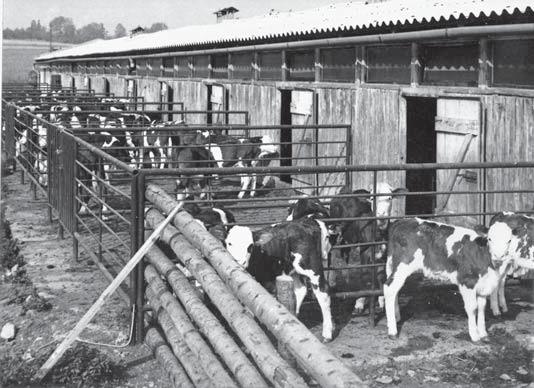 Další dvě fotografie pak pochází z r. 1962, kdy JZD v Medlově oslavilo 10.