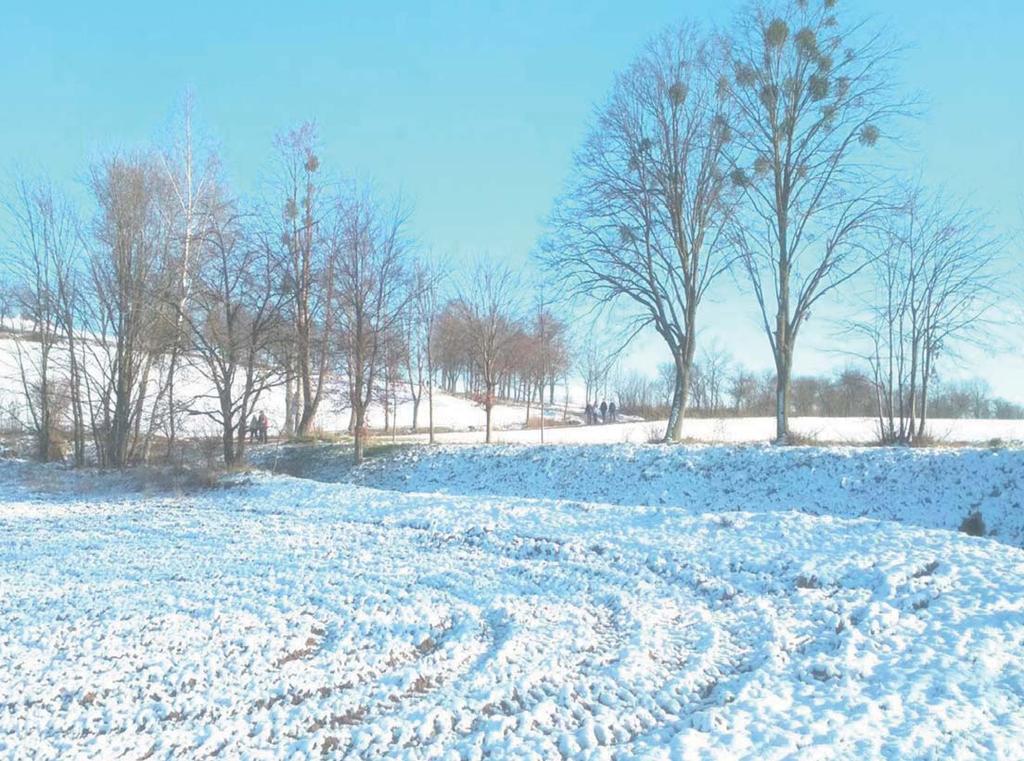 Poměřili tady své umění i náklonnost paní Fortuny na XVI-ctém ročníku Tříkrálového turnaje v mariáši. Hráči ze širokého okolí se utkali ve čtyřech hodinových kolech.