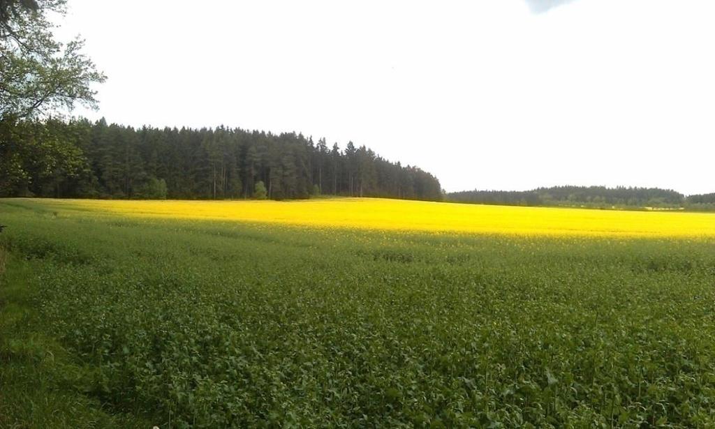 Tabulka 2. Osevní postup na poli lokality A Rok Obrázek 4.