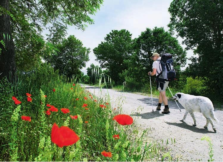 Itálii Stranou velkých měst a turistických atrakcí na nás