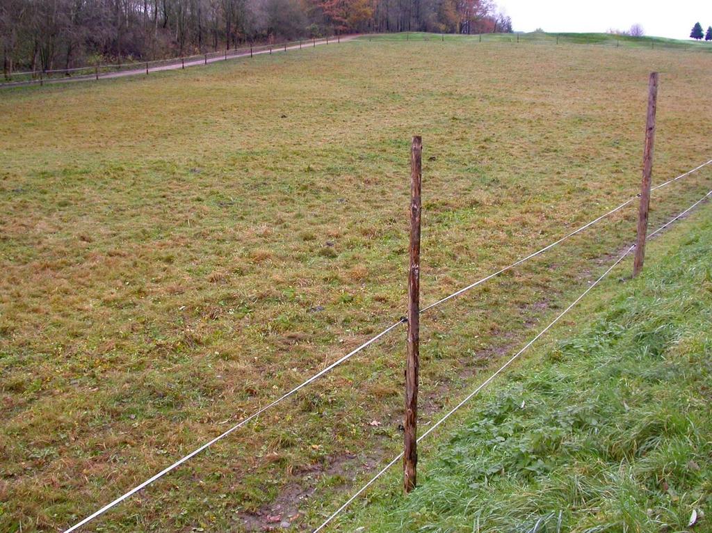 Nález č. 6 Nález č. 7 Jak je zřejmé, ani podklady z mapování habitatů nejsou směrodatné při řešení takto specializovaných problému.