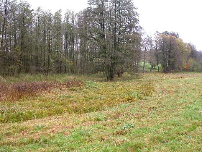 Nicméně liberecký region skýtá mnohé potenciálně vhodné lokality a rozšíření tohoto druhu modráska by měla být věnována větší pozornost orgánů ochrany