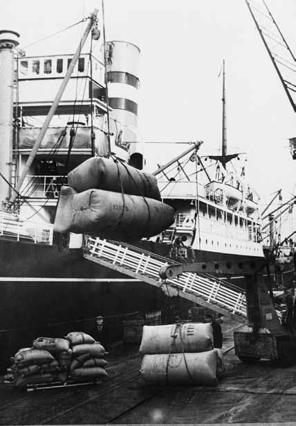 189 Chmel jako exportní artikl: žoky chmele putují do USA, které se ve 30. letech staly jedním z klíčových konzumentů žateckého produktu (Fotoarchiv Regionálního muzea K. A. Polánka v Žatci, sign.