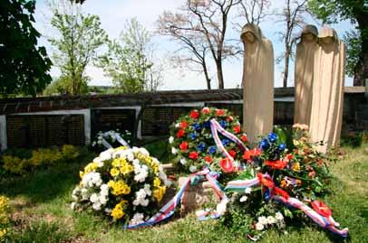 Výbor zorganizoval roku 2006 ve Valdštejnském paláci výstavu Lety příběh zamlčené genocidy a roku 2007 ve Veletržním paláci Národní galerie výstavu fotografií Zaniklý svět, která představila život