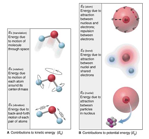 Translační Rotační Kinetická a potenciální energie Kinetická Potenciální