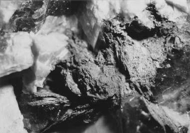Obr. 15. Tusionit Řečice; pseudomorfózy kasiteritu po tusionitu z elbaitového pegmatitu; foto: M. Novák, délka obr. 10 mm. Fig. 15. Tusionite Řečice, elbaite pegmatite; cassiterite psudomorphs after tusionite; photo: M.