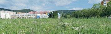 06/2020 strana 5 Mnoho lidí se zajímá o způsob a četnost sekání trávy ve městě, rád bych proto k tomuto tématu napsal, že se snažíme zvýšit množství ploch s omezenou četností sečí.