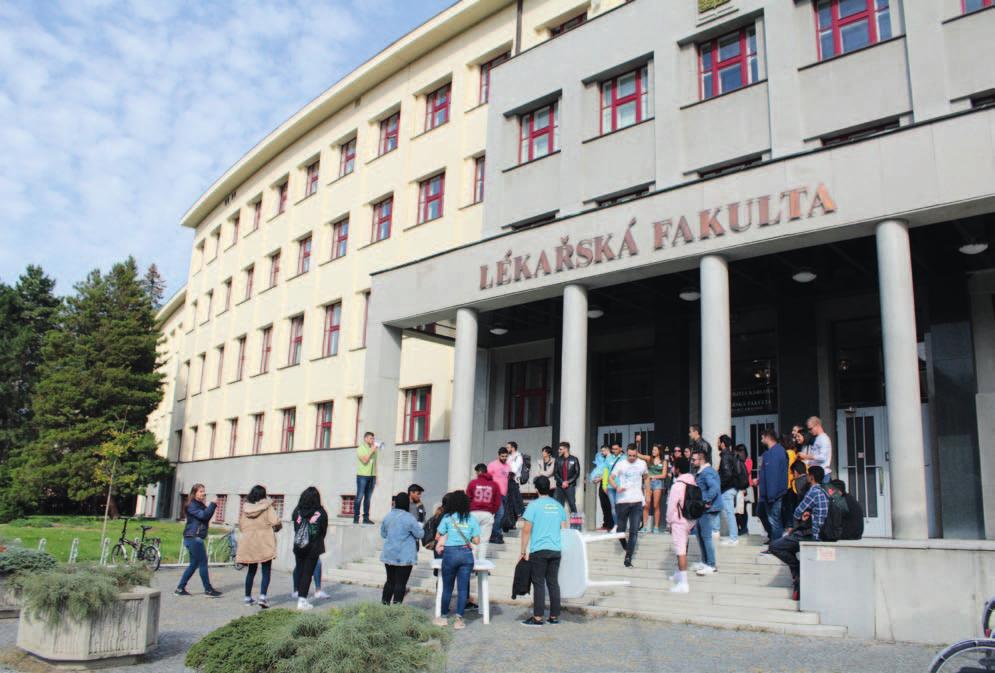 vnější vztahy vnější vztahy Executive board The model of leadership we have adapted at ISU-LFHK is a hierarchal one consisting of an elected seven-member board; The positions are titled president,