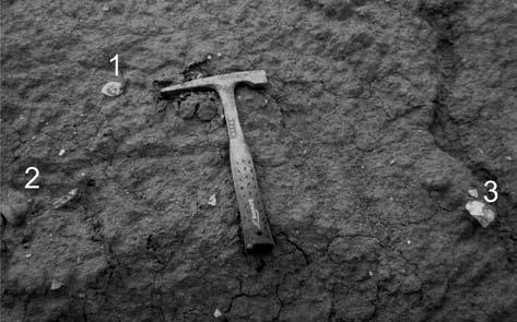 Bylo zjištěno, že dominantní složkou obou studovaných silicitů je tzv. opál CT, který je ve směsi s křemenem. Dále se především ve vzorku č.