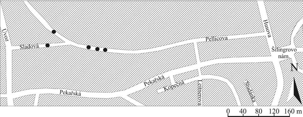 28 Příspěvek k poznání kvartérních fluviálních sedimentů v prostoru centra města Brna Quaternary fluvial deposits in the centre of Brno city contribution to the problems Slavomír Nehyba 1, Luboš