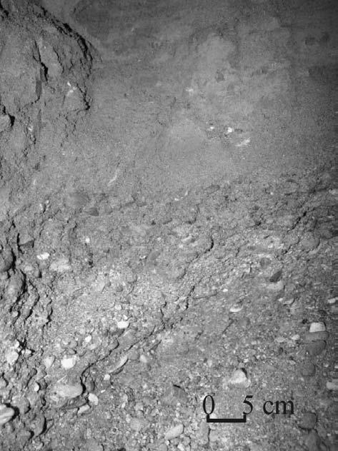 29 Sedimentárně-petrografické studium Granulometrické studium písčitého štěrku ukázalo dominanci štěrkové frakce (53,5 %) a písčité frakce (43,5 %), zatímco jen podružně je přítomna frakce prachovitá