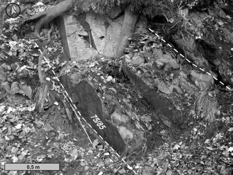 77 Geologická situace studované žíly Přímý výchoz magmatické žíly, jejíž popis přinášíme v této práci, je vzdálen přibližně 1 km na SV od nejbližší lokality uváděné Wilschowitzem (obr. 1).