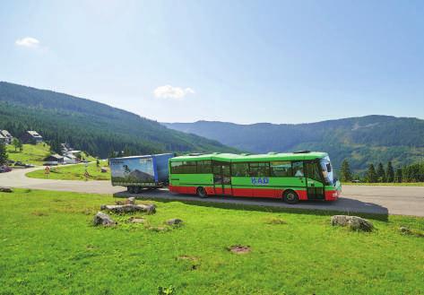 cz Rokytnice nad Jizerou Horní Domky, www.skiareal-rokytnice.cz Harrachov Čertova hora, www.skiareal.com Kejnos - Benecko, www.