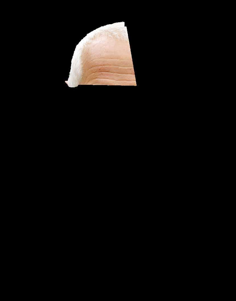 ŠKOLNÍ LESNÍ PODNIK Z lesů, o které se
