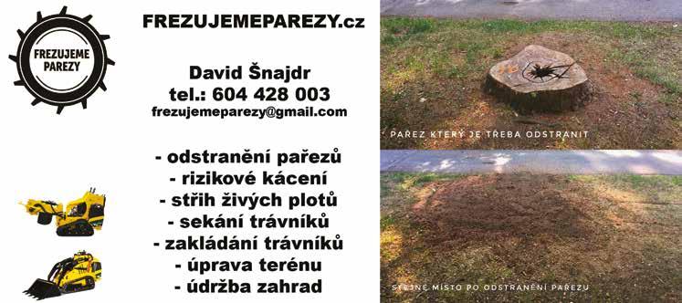 B, výhodou C, T (rozšíření hradí zaměstnavatel), praxe v