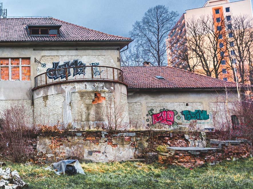 Živý dům vrátit dětem se nám. Mám starší sestry, takže o prázdninách jsem se staral o své synovce a neteře, připravoval jsem pro ně hry. Šlo mi to, a asi i proto mě to bavilo.