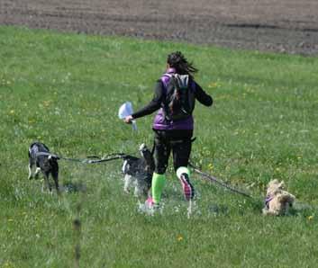 kočárková, byla dlouhá 5 km, druhá trasa měřila 15 km a nejdelší trasa byla dlouhá