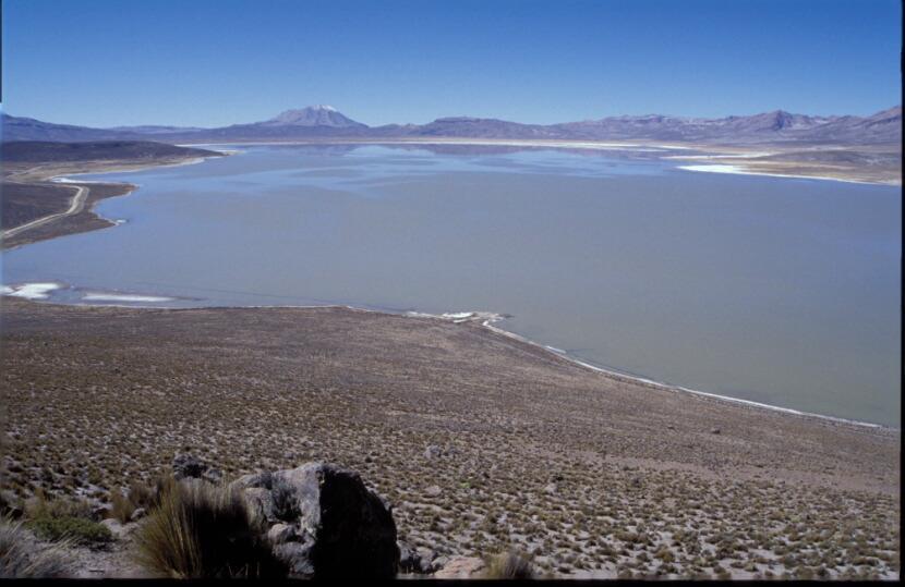 Laguna de