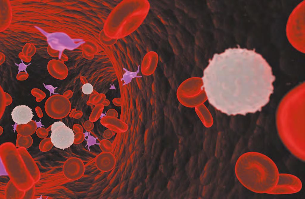 KLINICKÁ HODNOTA DIAGNOSTIKY Klasifikace hematologických poruch ve smyslu anémií a hematoonkologických onemocnění není v současnosti nejjednodušší.