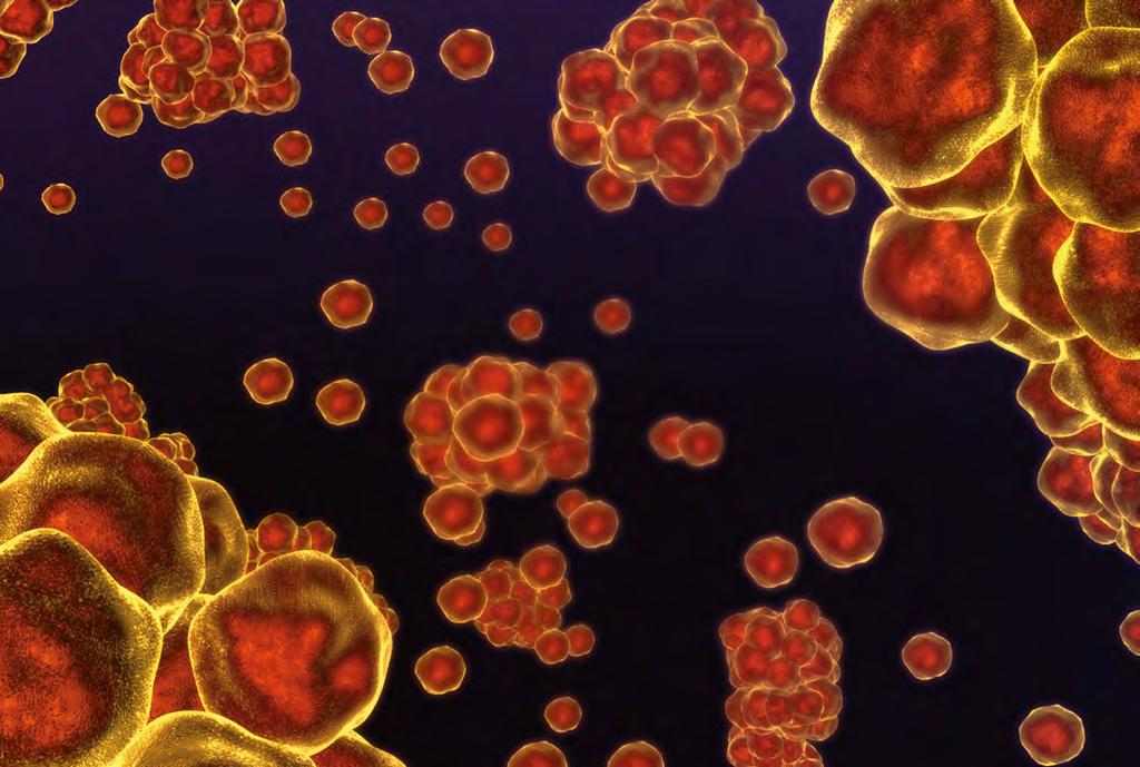 KLINICKÁ HODNOTA DIAGNOSTIKY Laboratorní markery sepse běžně využívané Hemokultura Zlatým standardem v diagnostice sepse je průkaz původce z hemokultury.