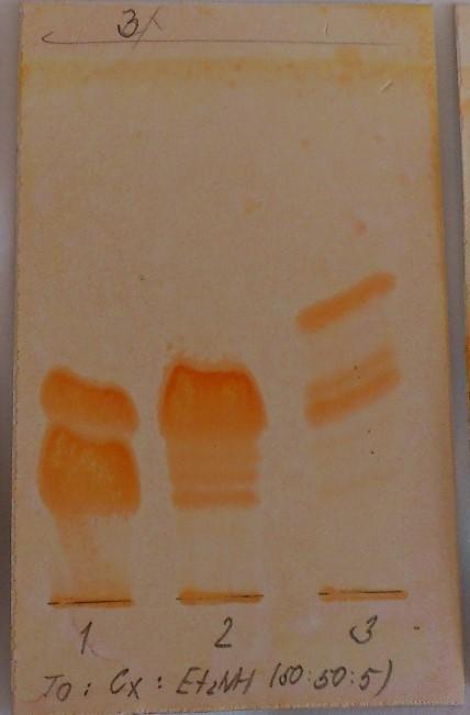 Obrázek 16: Chromatogram F6/1, F6/2, F6/3, F6/4 a F6. Mobilní fáze S1, nosič A2. Vizualizováno Dragendorfovým Obrázek 17: Chromatogram F6/1, F6/2, F6/3. Mobilní fáze S2, nosič A2.