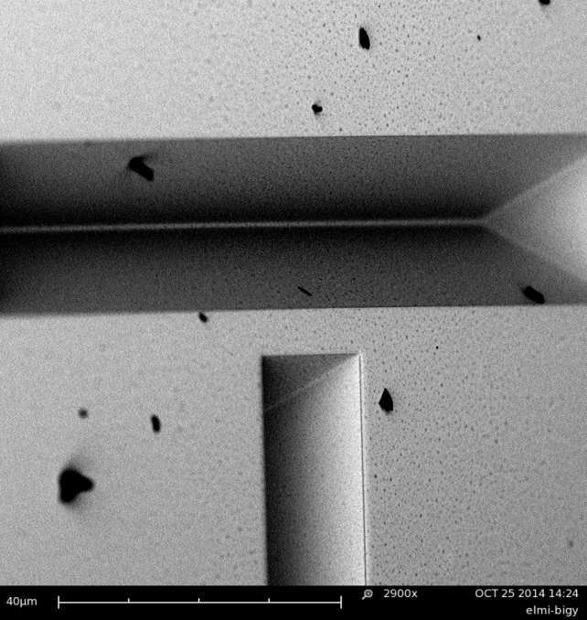 Každý hrot AFM má jakýsi křemíkový nosič o velikosti asi 5 x 3 mm, ze kterého vybíhá raménko hrotu asi 3 mm.