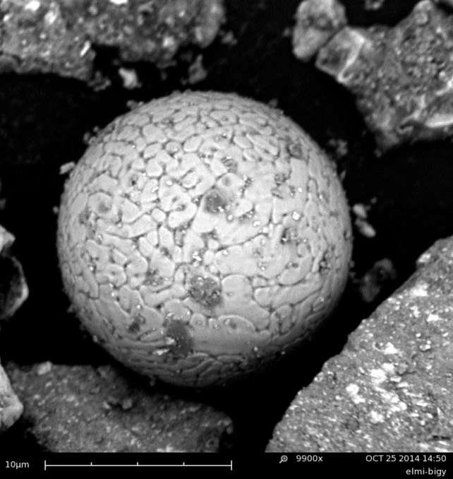 Na této kuličce o velikosti asi 0,015 mm jsou opět vidět krystalizační dendrity.