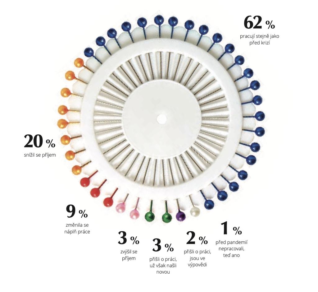 Změny v práci v průběhu pandemie (průzkum