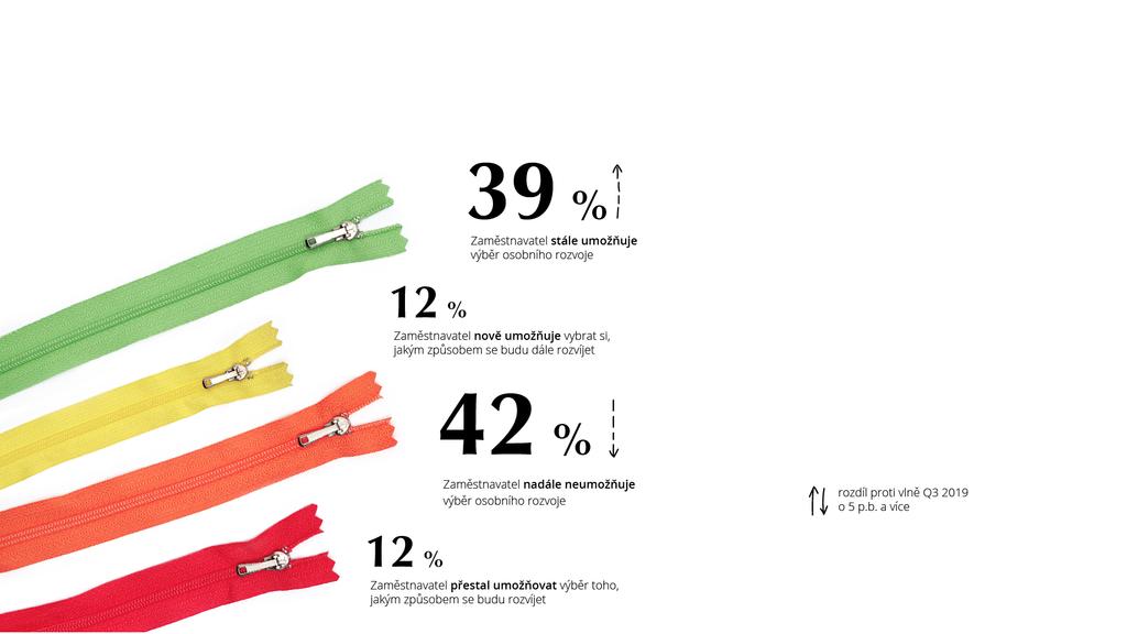 Možnosti dalšího vzdělávání při práci (průzkum LMC, září 2020, pouze zaměstnaní 18-65 let)