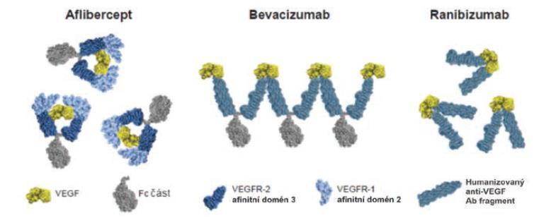 Lékem, který se dosud využívá jen off-label léčbě je bevacizumab (Avastin), který je schválen pro léčbu metastazujícího kolorektálního karcinomu, metastazujícího karcinomu prsu, metastazujícího